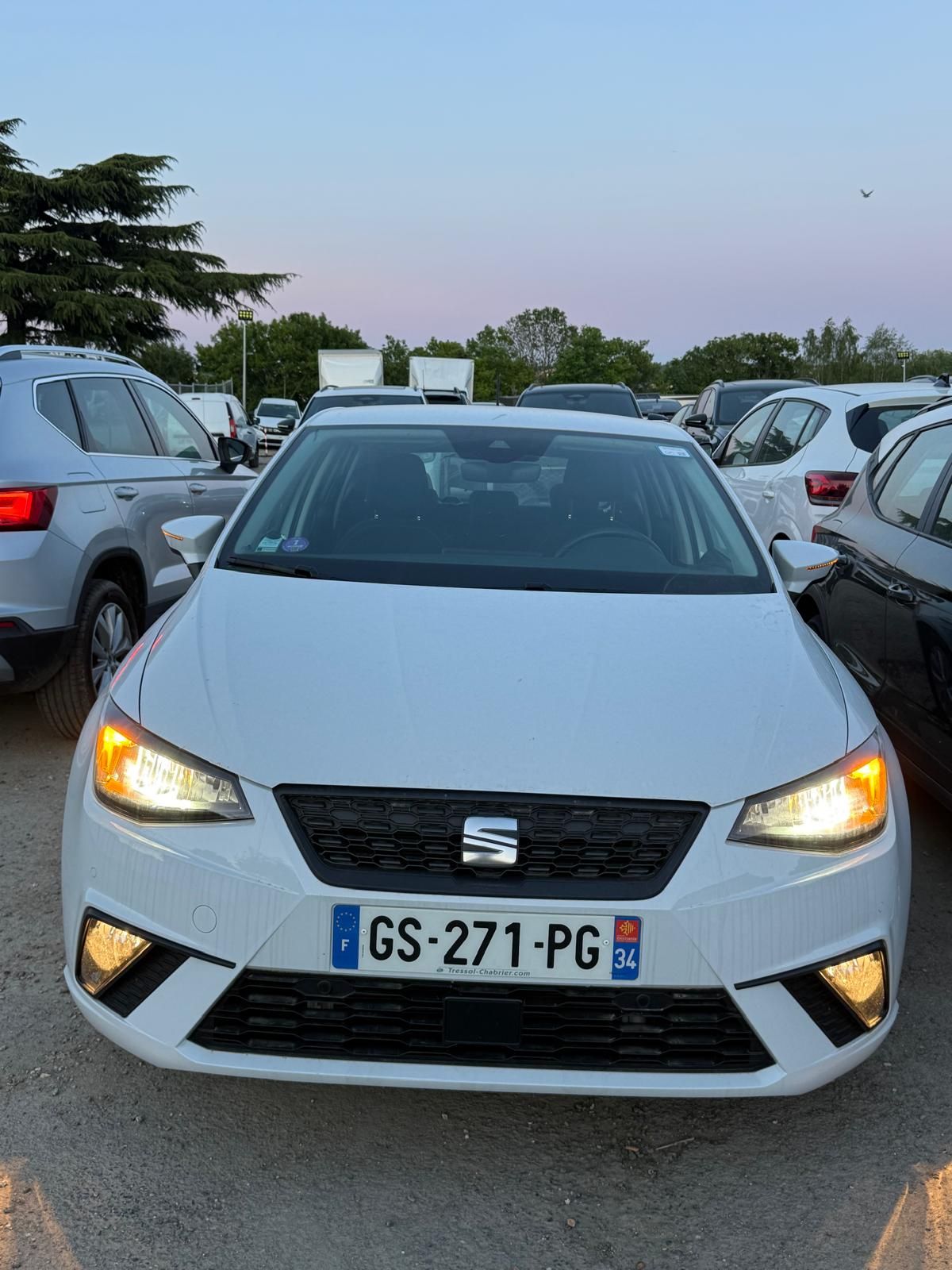 SEAT IBIZA 1.0 TSI 95ch BVM5 STYLE – 5P occasion - Leader export auto Algérie, licence moudjahidine, CCR (Vue 7) - DJCAR