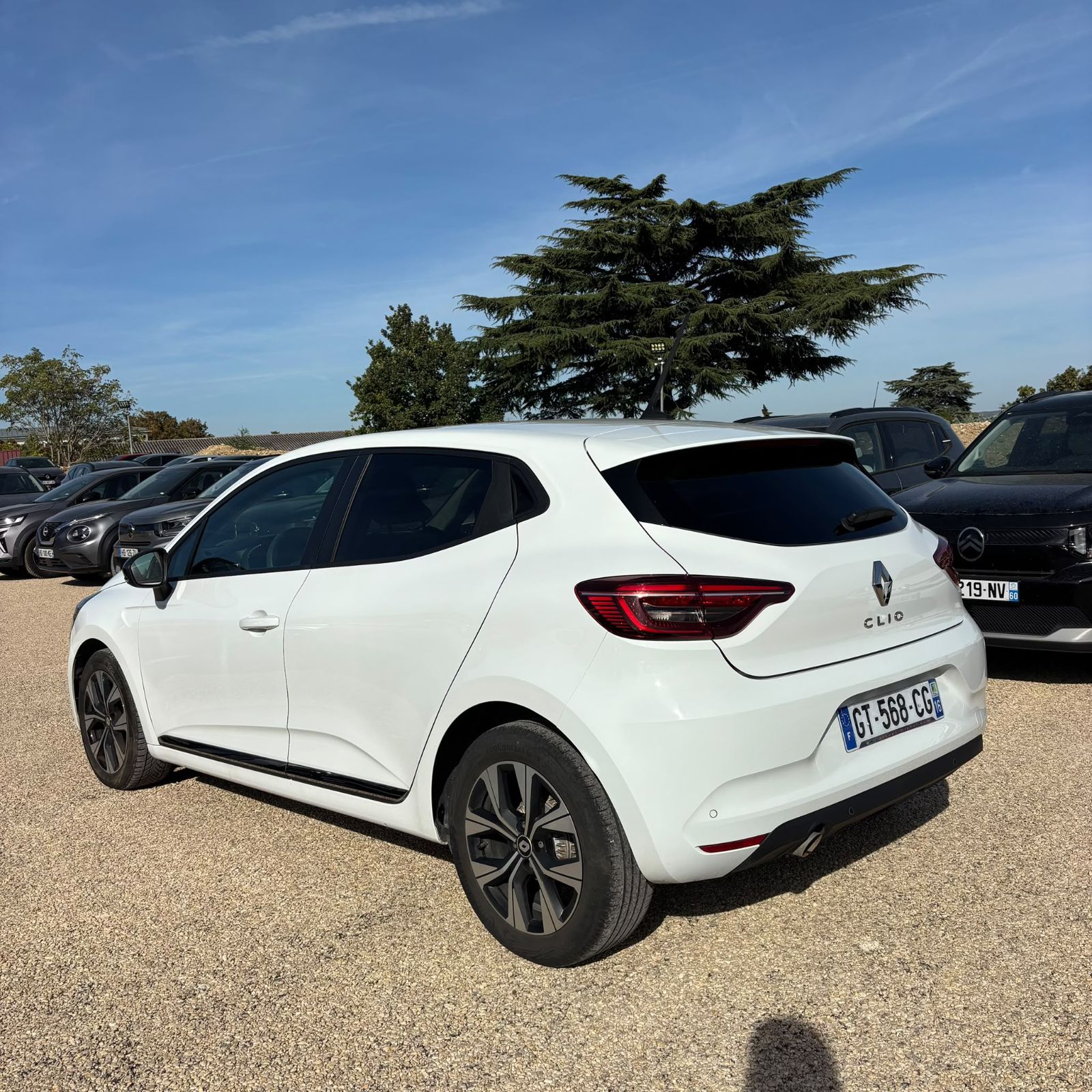 RENAULT CLIO V 1.0 TCe 90 Evolution 5P occasion - Leader export auto Algérie, licence moudjahidine, CCR (Vue 7) - DJCAR